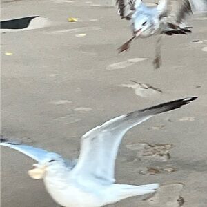 Meet your Posher, Nina